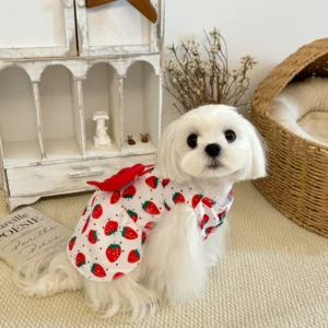 Fruit-Print Dog Dress with Bow – Cute Outfit for Beach & Party