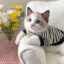 O1CN015XqDMq21mQ9lEqOve_2218542207027-0-cib.jpg