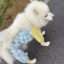 O1CN01DeNrZN1t5oW0I64bR_2215880305851-0-cib.jpg