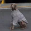 O1CN01HG1QIV2MoLqXYt42j_2219530899874-0-cib.jpg_.webp