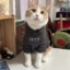 O1CN01OUvbk71L08X3xfo0l_2218353971236-0-cib.jpg_.webp