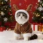 O1CN01QRke3A1wj9LpYrUdv_2200806036343-0-cib.jpg_.webp
