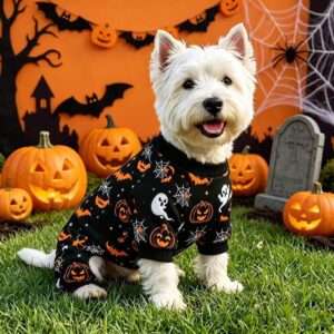 Halloween Pumpkin Pet Pajamas — All-Leg Loungewear for Dogs & Cats