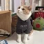O1CN01xDvJDt1L08X60Vg6u_2218353971236-0-cib.jpg_.webp