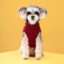 O1CN01zuy1wj2IAGcG9W7li_2218236099245-0-cib.jpg