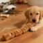 translated-6031a10eba60b8f5bc3e7bf5-1.jpg