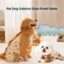 translated-642a47b575c1f32d212efbba-1.jpg