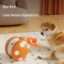 translated-d3eb74b40b504a5b14f20065-1.jpg