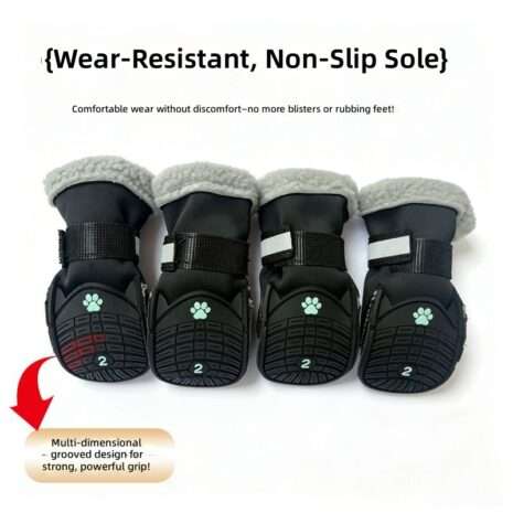 translated-d9136c02a339a3bd1661b450-1.jpg translated-d9136c02a339a3bd1661b450-1.jpg